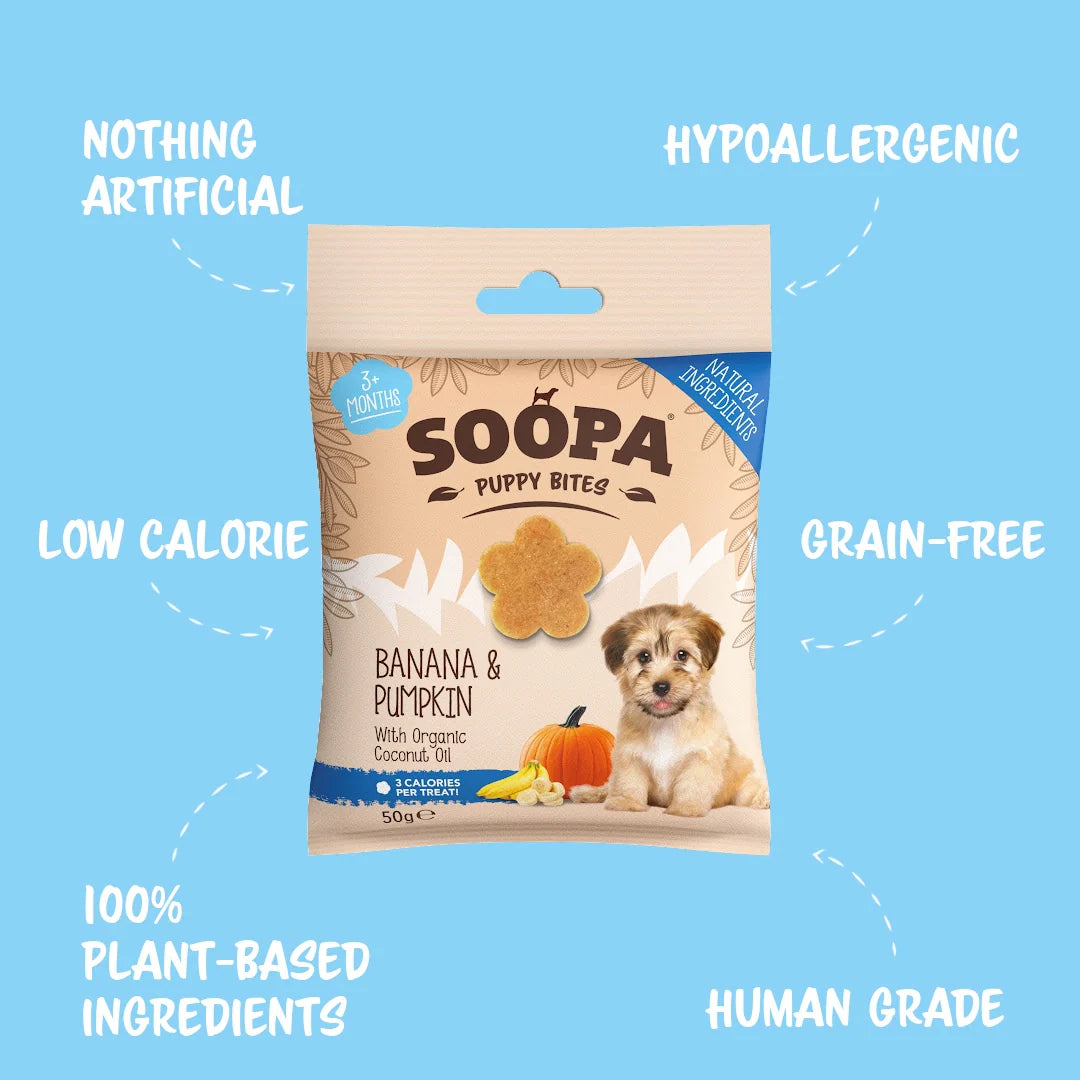 Banana & Pumpkin Healthy Training Bites for Puppies