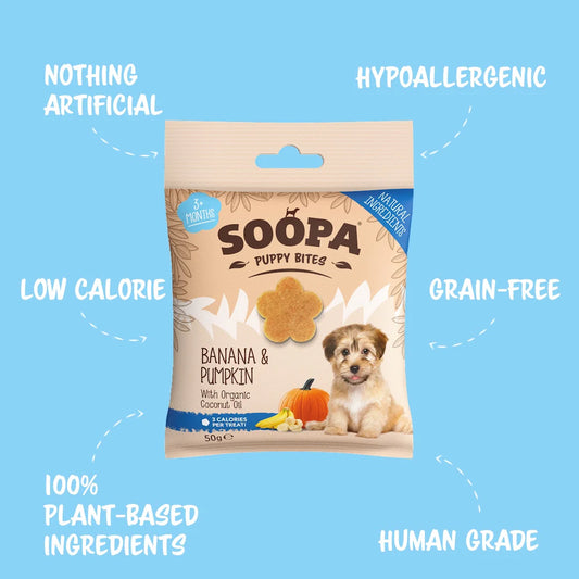 Banana & Pumpkin Healthy Training Bites for Puppies