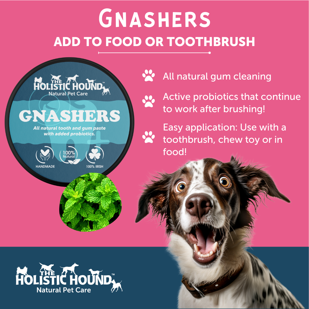 The Dental Delight Dog Hamper