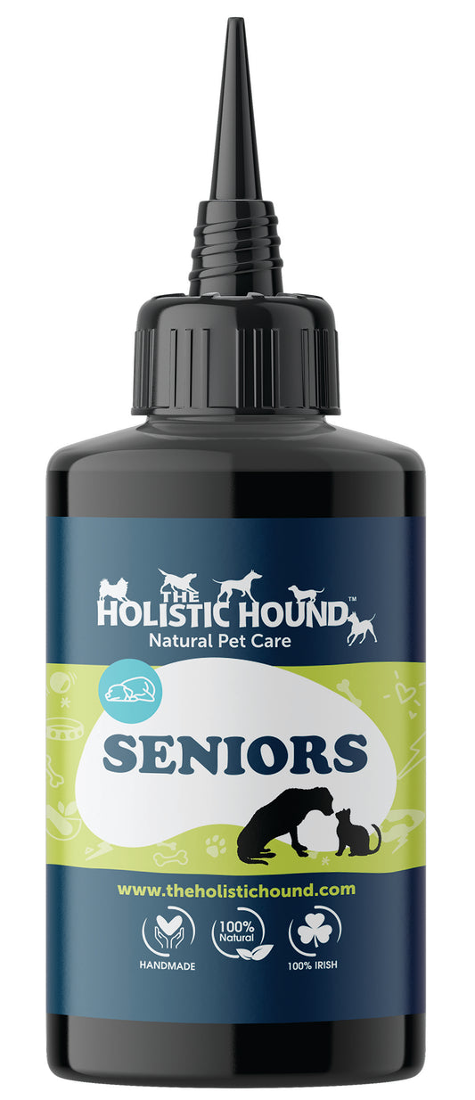 Fundamentals: Seniors